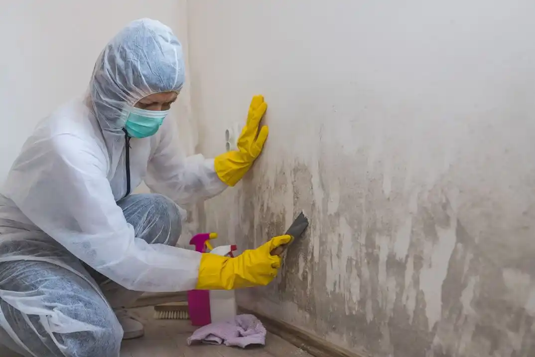 water damage restoration service Conwayborough